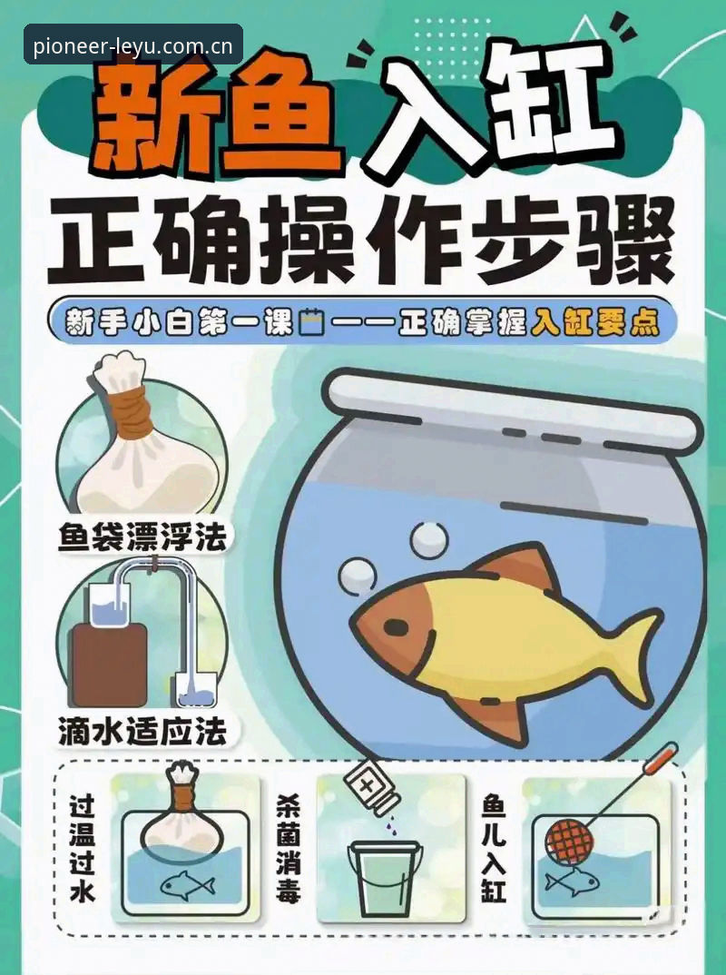 揭秘乐鱼APP安装：新手最容易掉进的那些坑，以及如何一次搞定